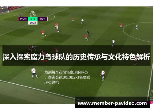 深入探索魔力鸟球队的历史传承与文化特色解析