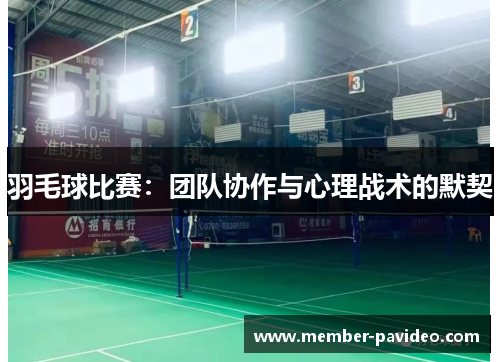 羽毛球比赛：团队协作与心理战术的默契