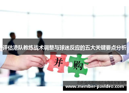 评估港队教练战术调整与球迷反应的五大关键要点分析