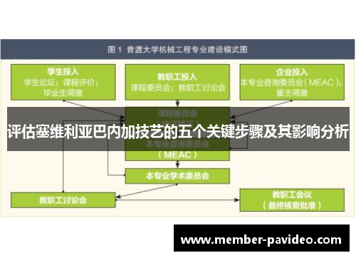 评估塞维利亚巴内加技艺的五个关键步骤及其影响分析