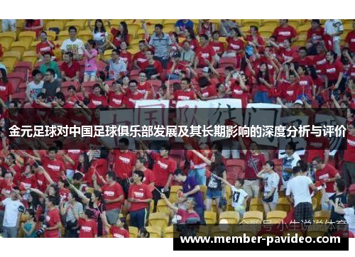 金元足球对中国足球俱乐部发展及其长期影响的深度分析与评价