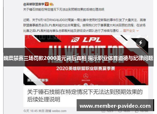 魏震禁赛三场罚款2000美元背后真相 揭示职业体育道德与纪律问题