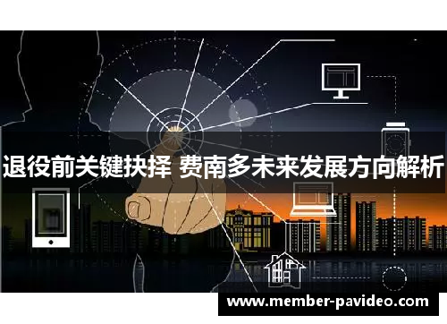 退役前关键抉择 费南多未来发展方向解析