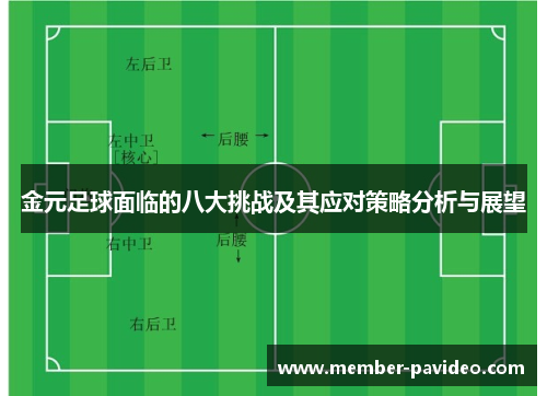 金元足球面临的八大挑战及其应对策略分析与展望