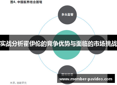 实战分析霍伊伦的竞争优势与面临的市场挑战 实战分析霍伊伦的竞争优势与面临的市场挑战