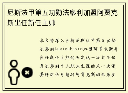 尼斯法甲第五功勋法廖利加盟阿贾克斯出任新任主帅 尼斯法甲第五功勋法廖利加盟阿贾克斯出任新任主帅